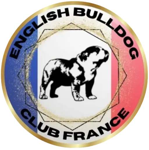 Logo English bulldog club France